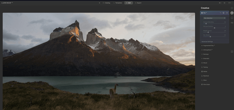 Photo Management Software on Mac Luminar